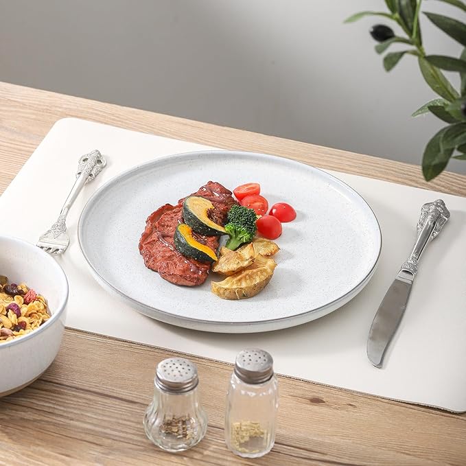 Ceramic Dinner Plates Set of 4