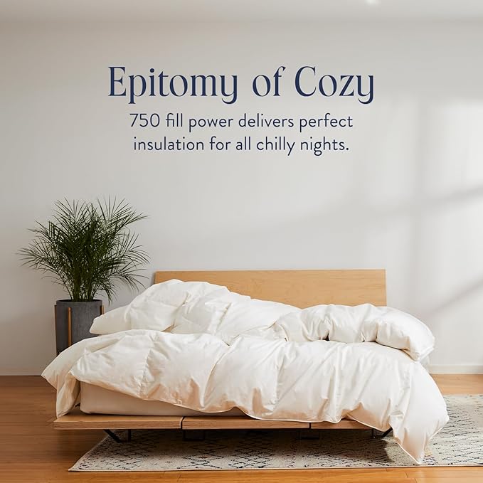 Brooklinen Ultra Warm Luxury Down Comforter, 100% Natural Canadian Duck Down Duvet Insert - 750 Fill Power, Baffle Box Construction, 100% Cotton Shell, Twin/Twin XL Size Comforter