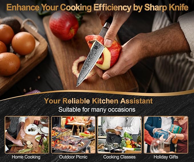 XINZUO Paring kitchen Knife, 5 Inch Super Sharp Damascus Steel Petty Knife, Fruit Knife, Pakkawood Handle, Gift Box