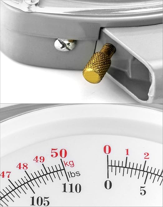 QWORK Precision Hanging Scale, 110lbs / 50kg Capacity, Dual Unit, Heavy Duty