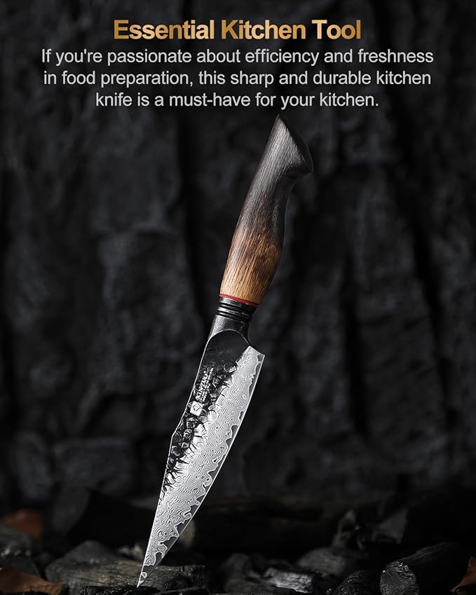 XINZUO 5.6 inch Paring Petty Knife,High Carbon 67 Layers Damascus Steel Fruit and Vegetable Small Kitchen Utility Knife,Burnt Wood Handle