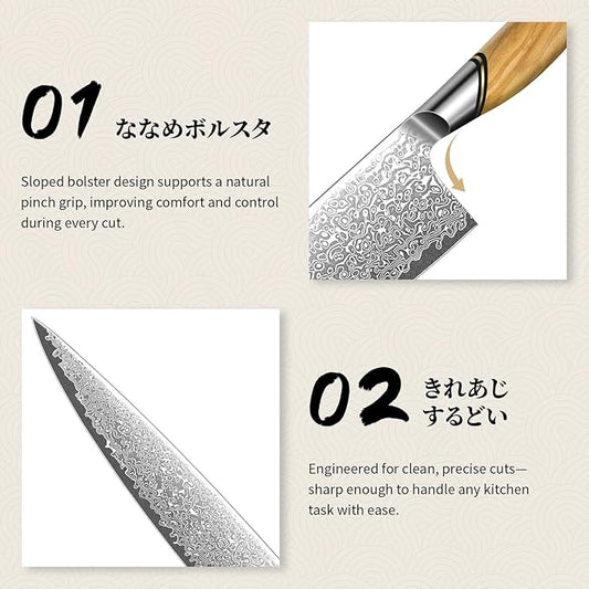 TIVOLI Japanese Gyuto Knife 10 Inch– VG-10 Damascus Chef Knife with Razor Sharp Blade and Ergonomic Olive Wood Handle, Ideal for Meat, Vegetables & Daily Cooking