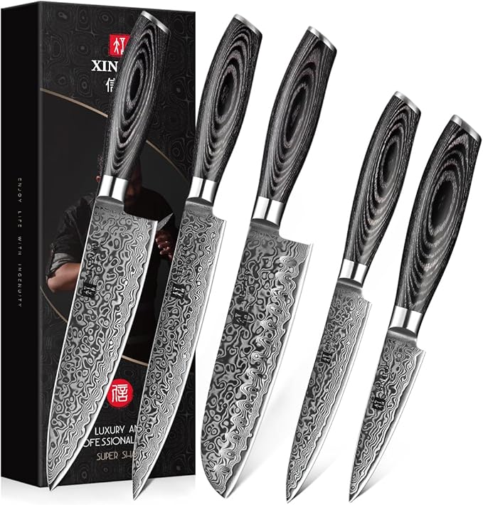 XINZUO 5-Piece Kitchen Knife,Super Sharp Damascus Steel Professional Chef Knife Set with Pakkawood Handle, Gift Box
