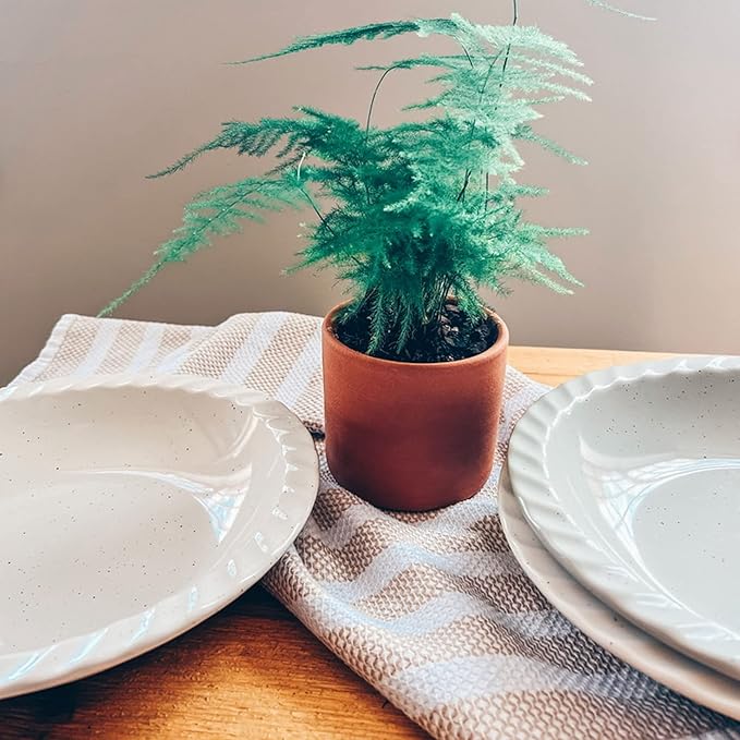 Mora Ceramic Classic 9 Inch Pie Pan Set of 2 - Round Pie Plate for Baking Apple/Pumpkin Pies, Quiche, Rolls, etc. Dishwasher and Oven Safe Dishes, Shallow Pans for Original Recipes - Vanilla White