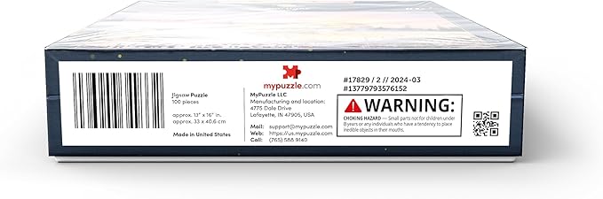 MyPuzzle Skyline of The Old City at The Western Wall and The Temple Mount in Jerusalem Israel - Premium 100 Piece Jigsaw Puzzle for Adults