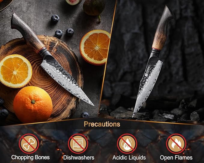XINZUO 5.6 inch Paring Petty Knife,High Carbon 67 Layers Damascus Steel Fruit and Vegetable Small Kitchen Utility Knife,Burnt Wood Handle