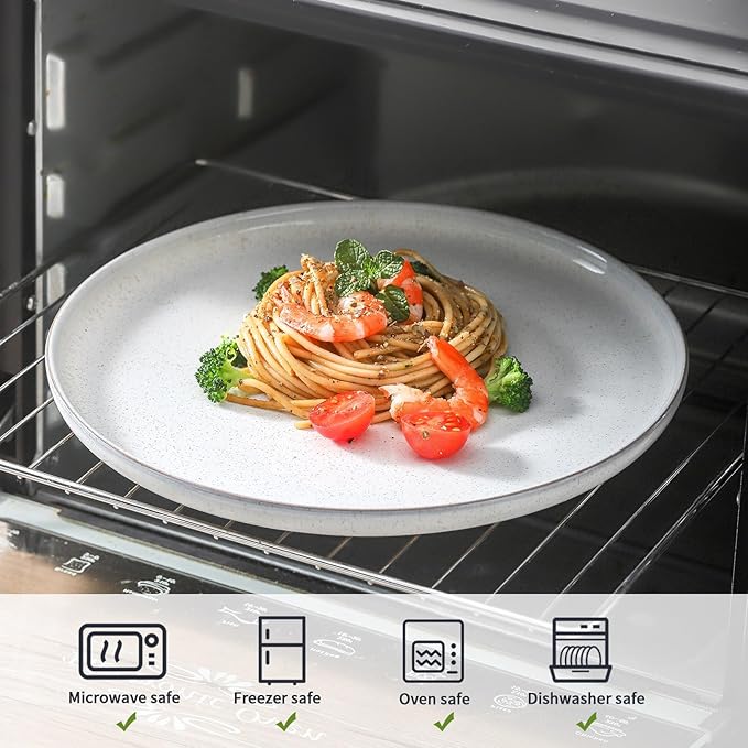 Ceramic Dinner Plates Set of 4