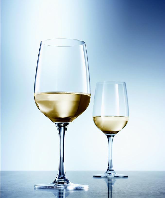 Fortessa Valore, Break-Resistant, European Crystal Glass, Burgundy or Soft Mature Red Wine Glass, 24.1 Ounce, Set of 6