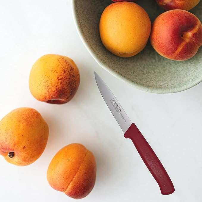 Paring Knife Set, 12 Pieces Utility Knives - MATTSTONE HILL Commercial-Grade Small Kitchen Knife, German Steel Blade, Restaurant Industry Utility Knife 12-Piece Set, Black & Red Handle