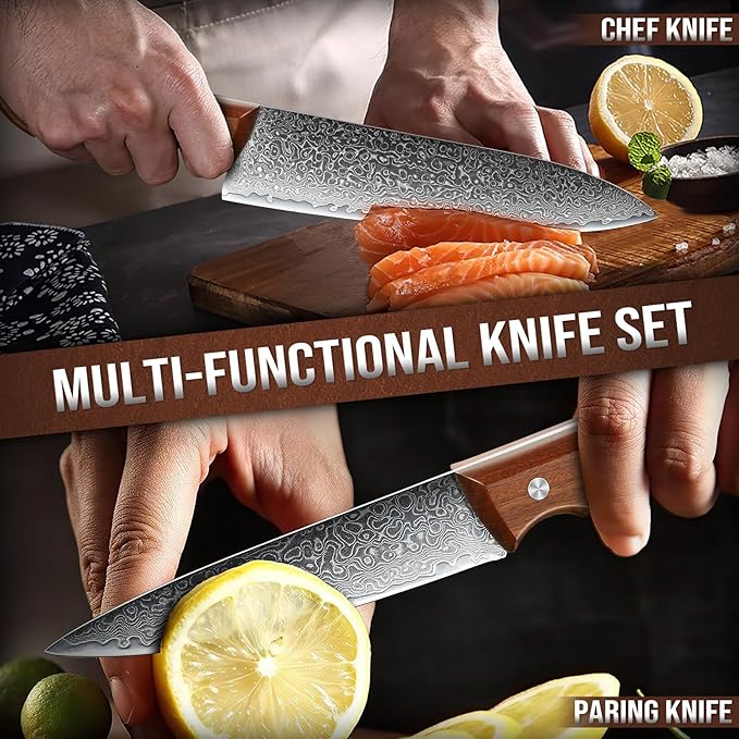 DRAGON RIOT Damascus Chef Knife Set, 2pcs VG10 Professional Kitchen Knife Set, Ultra Sharp Blade & Ergonomic Wooden Handle, Full Tang Forged Damascus Steel Kitchen Cooking Knife Set with Gift Box