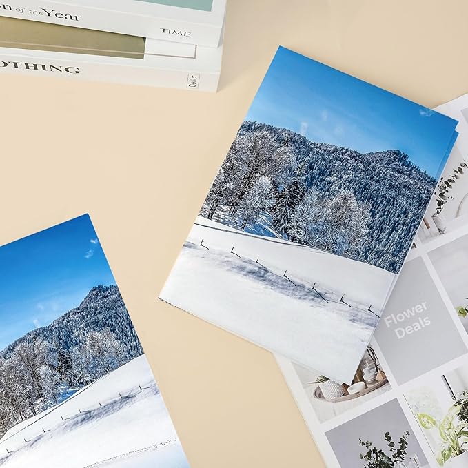 2 Pcs Fluorescent Light Covers - 4 x 2 Feet Covers for Ceiling Lights, Magnetic Light Filters for Classroom, Office, Hospitals, Home (Winter - Snow)