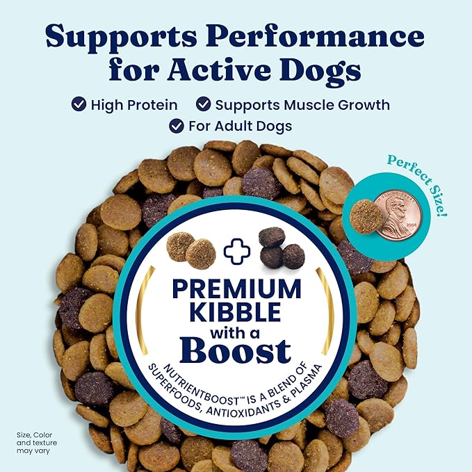 Solid Gold High Protein Dog Food Dry Dog Kibble - Premium Beef Protein & Digestive Probiotics for Energy, Muscle, Gut & Immune Support - Healthy Grain & Gluten Free Dogfood - Nutrientboost - 22 LB