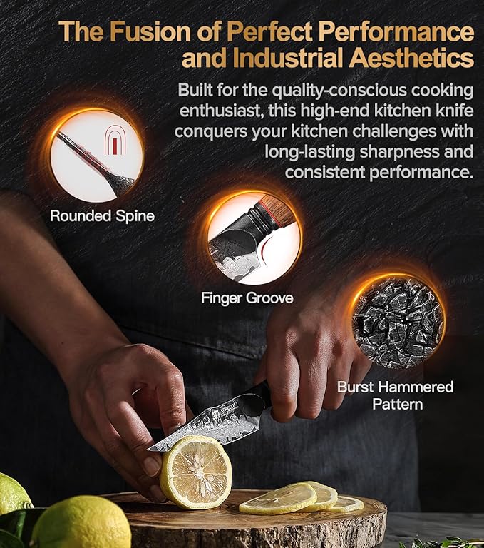 XINZUO Kitchen Paring Knife 4.2 Inch,Razor Sharp Hand Forged Damascus Steel Small Kitchen Knife For Peeling Coring Fruit With Ergonomic Handle