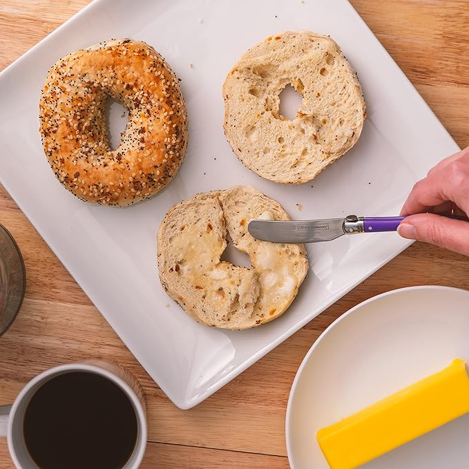 Butter Knife Set - European-Style Spreader Knife with Stainless Steel Blade - Easy Grip Colored ABS Handles - 6-Piece Set