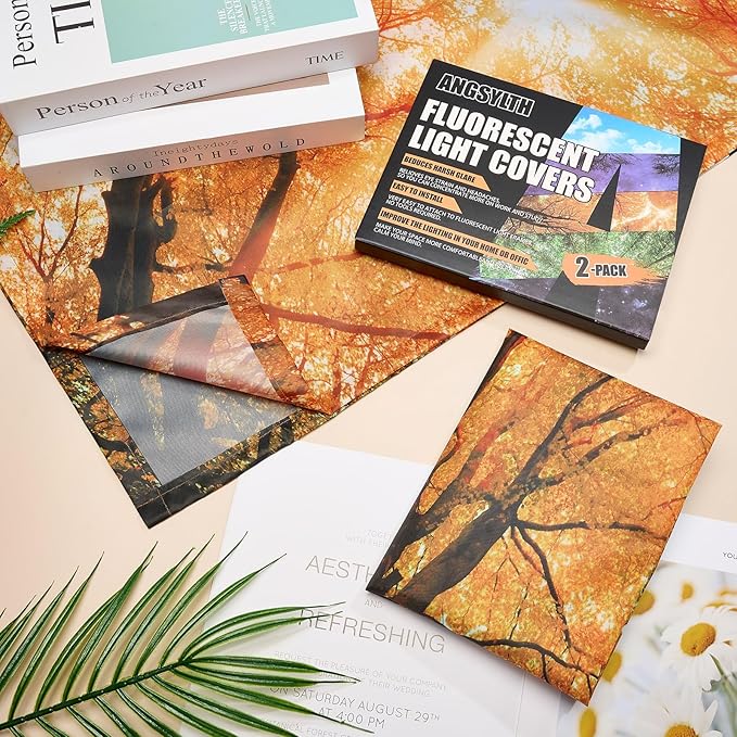 2 Pcs Fluorescent Light Covers - 4 x 2 Feet Covers for Ceiling Lights, Magnetic Light Filters for Classroom, Office, Hospitals, Home