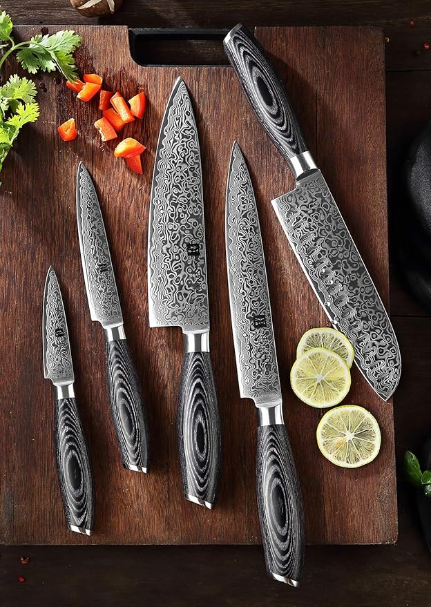 XINZUO 5-Piece Kitchen Knife,Super Sharp Damascus Steel Professional Chef Knife Set with Pakkawood Handle, Gift Box