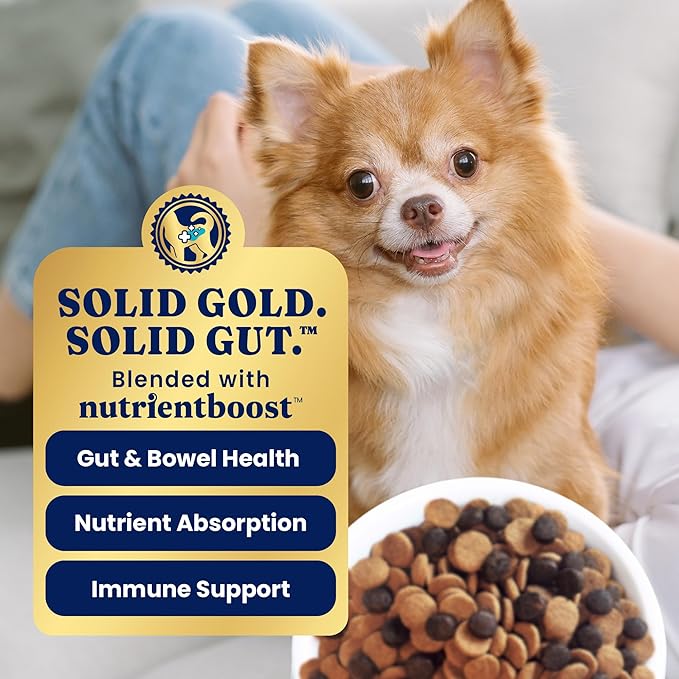 Solid Gold Toy & Small Breed Dry Dog Food Small Bites – Real Lamb, Grain Free, Gluten Free, High Fiber Healthy Kibble w/Probiotics for Gut Health & Digestion Support– All Ages NutrientBoost™ –11LB