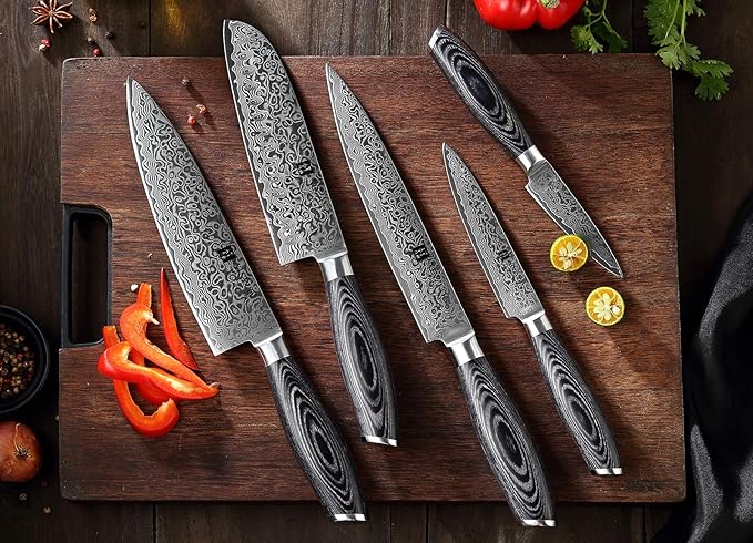 XINZUO 5-Piece Kitchen Knife,Super Sharp Damascus Steel Professional Chef Knife Set with Pakkawood Handle, Gift Box