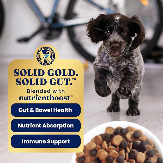 Solid Gold Chicken Dry Puppy Food - W/Real Chicken & Potato - Grain Free & Gluten Free Puppy Dog Food w/Probiotics for Gut Health & Digestion - Healthy Kibble for Puppies - Nutrientboost™ - 22 LB