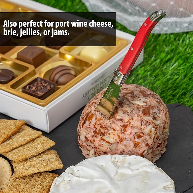 Butter Knife Set - European-Style Spreader Knife with Stainless Steel Blade - Easy Grip Colored ABS Handles - 6-Piece Set