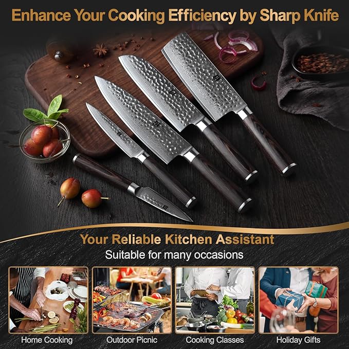XINZUO Kitchen Cutting Knife Set of 5 Piece,67 Layers Hammered Damascus Blade,Razor Sharp Japanese-Style Chef Knife Set with Pakkawood Handle,Gift Box
