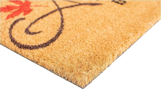 Calloway Mills AZ101841729 Blessed Doormat, 17" x 29", Multicolor