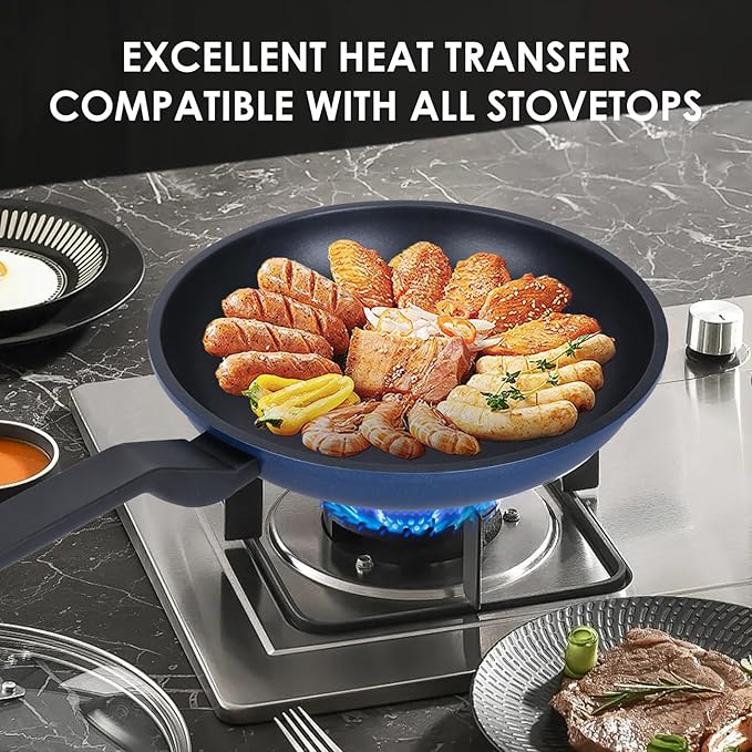 Nonstick Frying Pan Skillet,10 Inch Frying Pan Skillet,Egg pans,Omelette Pan,PFOA Free,Kitchen Pots Induction Pot