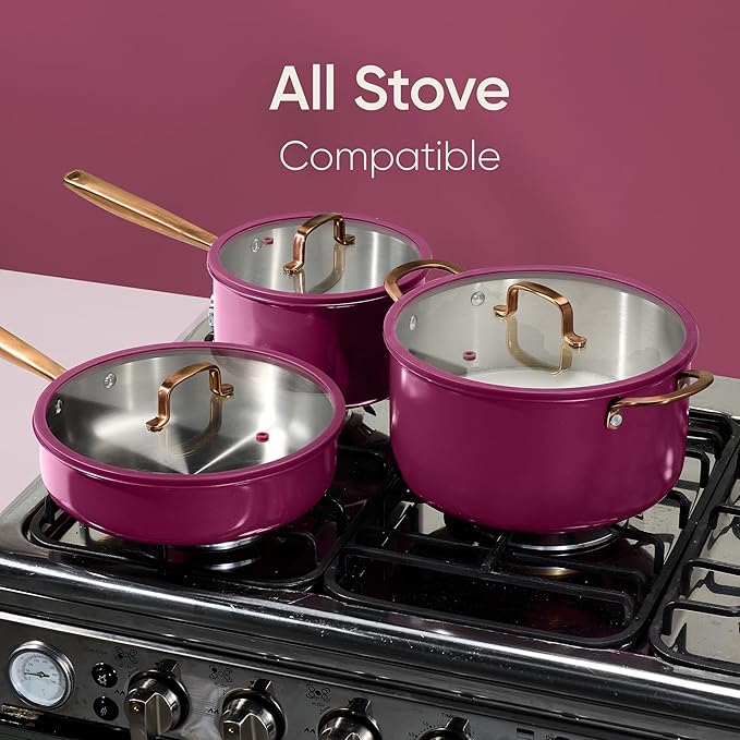 CAROTE 24pcs Tri-Ply Stainless Steel Cookware Set, Pots and Pans Set, Non Toxic Induction Kitchen Cooking Sets, Cookware Collection, Outer Ceramic Layer, Violet Purple
