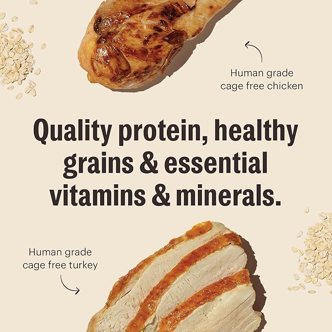 The Honest Kitchen Essential Clusters Dog Whole Grain Turkey & Chicken 5 lb Bag