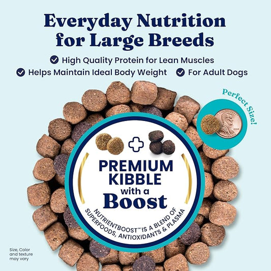 Solid Gold Bison Dry Dog Food for Large Dogs – High Protein, Whole Grain Kibble with Real Bison, Brown Rice & Omega 3 – Large Kibble w/Probiotics for Gut Health - Adult Dog Food - Nutrientboost™–22LB
