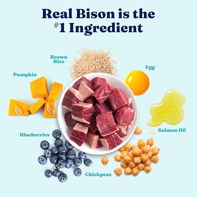 Solid Gold Large Breed Puppy Dog Food Dry Kibble - High Protein Dry Puppy Food for Large Breed Dogs w/Real Bison, Healthy Whole Grain & Probiotics for Gut Health & Digestion - Nutrientboost - 22 LB