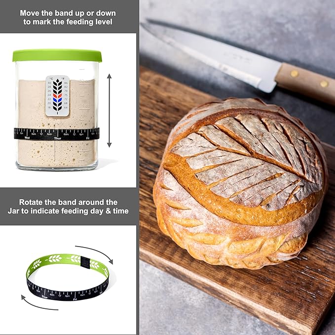 Premium Sourdough Starter Jar - 40oz Large Sourdough Jar with Marked Feeding Band, Thermometer, Scraper, Cloth Cover and Silicone Lid/Base, Wide Mouth Starter Kit - Green/Purple