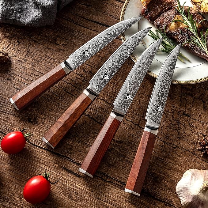 Steak Knives Set of 4 with In-Drawer Knife Block, 5 inch Damascus Steak Knife Set VG-10 Damascus Super Steel 67-Layer Non Serrated Steak Knives with Natural Wood Handle, Gift Box
