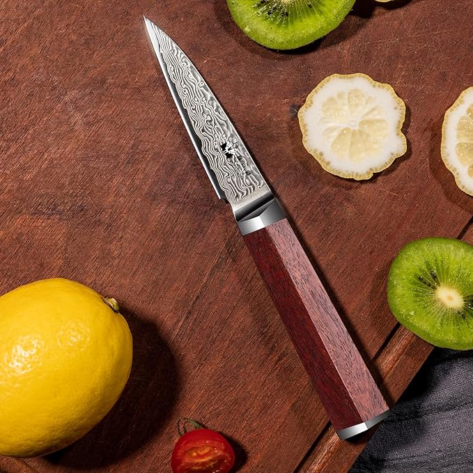 Damascus Paring Knife 3.5-inch Fruit and Vegetable Paring Knife 67-Layer Damascus with VG10 Cutting Core Peeling Knife with Full Tang Ergonomic Natural Wood Handle for Peeling