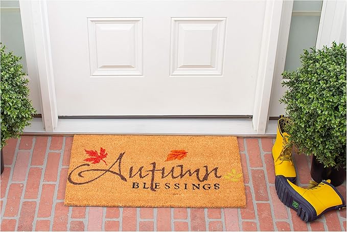 Calloway Mills AZ101841729 Blessed Doormat, 17" x 29", Multicolor