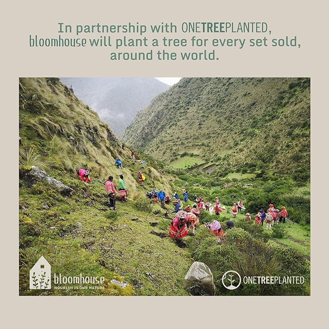 Bloomhouse 5 Inch German Steel Utility/Boning Knife W/Italian Olive Wood Forged Handle