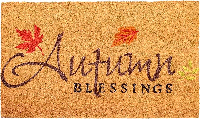 Calloway Mills AZ101841729 Blessed Doormat, 17" x 29", Multicolor